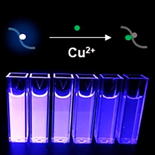 通过荧光增白剂和基于咪唑的聚合物染料转移抑制剂的非共价配合物检测cu2 Journal Of Applied Polymer Science X Mol