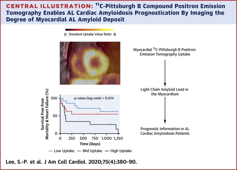 Pittsburgh B Compound Positron Emission Tomography in Patients 