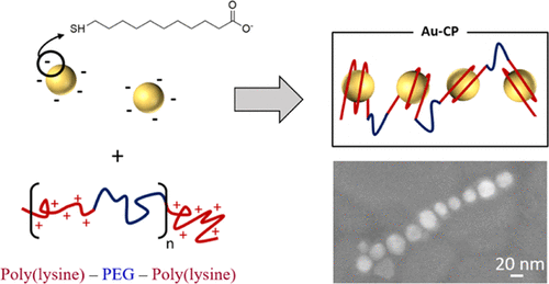 Self Assembly Of Gold Nanoparticles With Oppositely Charged Long Linear Chains Of Periodic Copolymers The Journal Of Physical Chemistry B X Mol