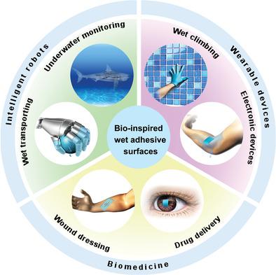 Bioinspired Multiscale Wet Adhesive Surfaces: Structures And Controlled ...