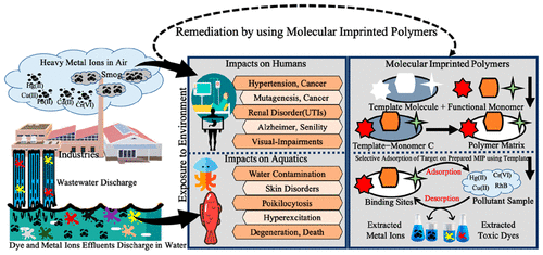 Molecularly Imprinted Polymers for Selective Recognition and Extraction ...