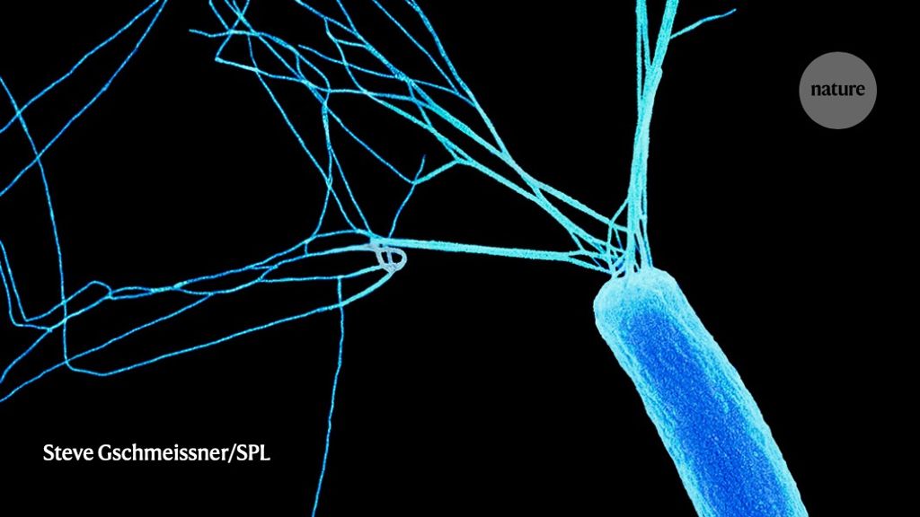 Manufacturing Microbes Tweaked To Live Long And Prosper Nature X Mol