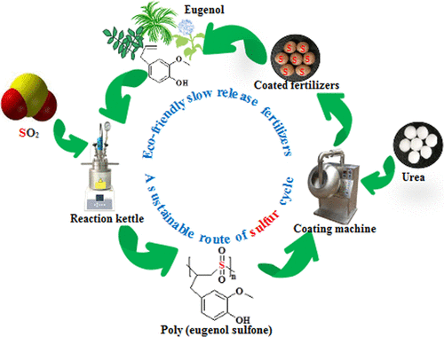 Sustainable And Biodegradable Copolymers From So2 And Renewable Eugenol A Novel Urea Fertilizer Coating Material With Superio Slow Release Performance Macromolecules X Mol