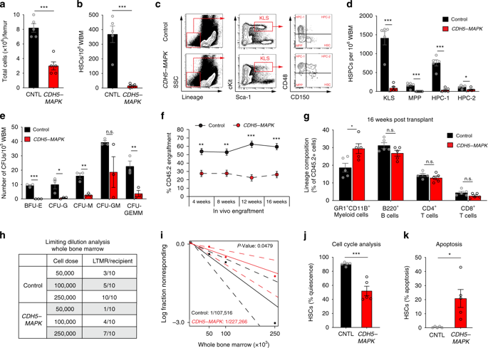 Chronic Activation Of Endothelial Mapk Disrupts Hematopoiesis Via Nfkb Dependent Inflammatory Stress Reversible By Scgf Nature Communications X Mol