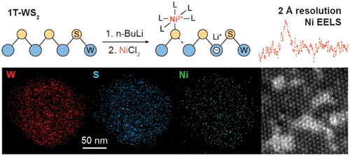 Solution-Phase Activation And Functionalization Of Colloidal WS2 ...