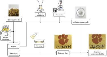 Preparation Of Novel Seaweed Nanocomposite Film From Brown Seaweeds Laminaria Japonica And Sargassum Natans Food Hydrocolloids X Mol