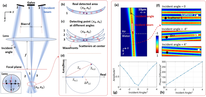 Angular Compounding For Speckle Reduction In Optical Coherence Tomography Using Geometric Image Registration Algorithm And Digital Focusing Scientific Reports X Mol