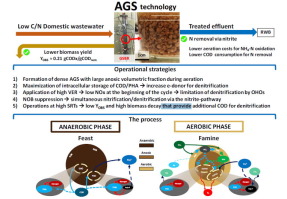 Efficient Carbon Nitrogen And Phosphorus Removal From Low C N Real Domestic Wastewater With Aerobic Granular Sludge Bioresource Technology X Mol