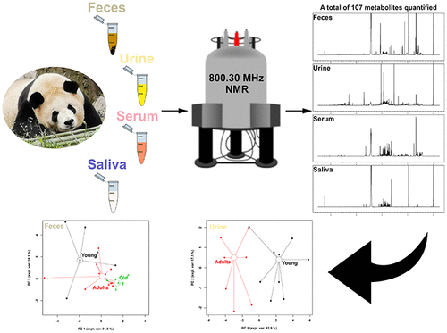 First Steps Toward The Giant Panda Metabolome Database Untargeted Metabolomics Of Feces Urine Serum And Saliva By 1h Nmr Journal Of Proteome Research X Mol