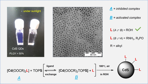 Role Of Alcohol In The Synthesis Of Cds Quantum Dots Chemistry Of Materials X Mol