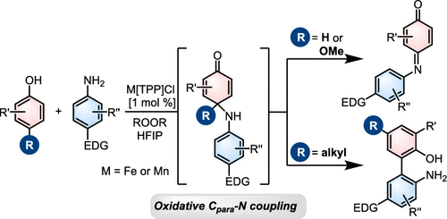 M Tpp Cl M Fe Or Mn Catalyzed Oxidative Amination Of Phenols By Primary And Secondary Anilines Organic Letters X Mol