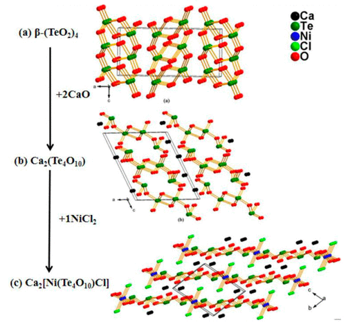 Ae2 Ni Te4o10 Cl2 Ae Ca Sr Ba Pb A New Type Of Inorganic Compound Synthesized Through The Recombination Of Tellurium Iv Oxide Anion Fragments By Introducing Post Transition Metal Halide Nicl2 Crystal Growth Design X Mol