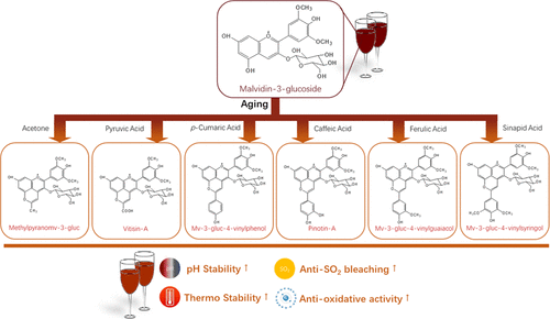 基于malvidin 3 Glucoside的六个吡喃花色素苷的稳定性和抗氧化活性的比较研究 Journal Of Agricultural And Food Chemistry X Mol