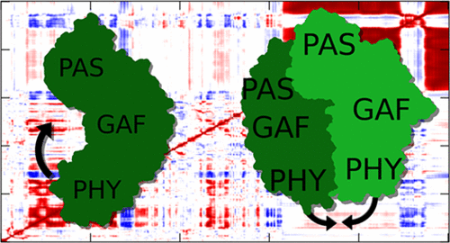 迪诺球菌细菌植物色素的光感域的动态特性 The Journal Of Physical Chemistry B X Mol