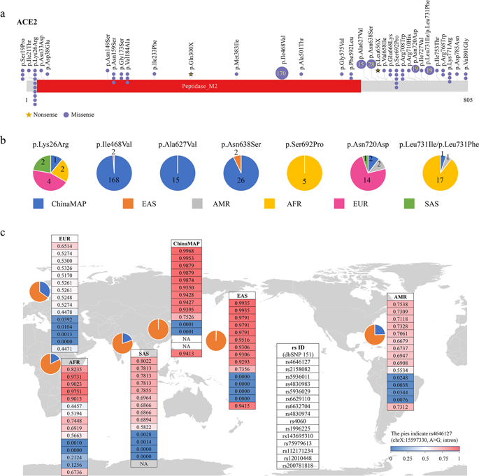 Comparative Genetic Analysis Of The Novel Coronavirus (2019-nCoV/SARS ...