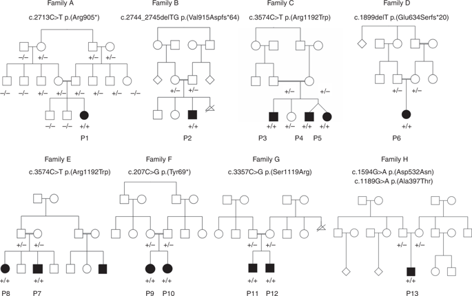 Loss Of Tnr Causes A Nonprogressive Neurodevelopmental Disorder With Spasticity And Transient Opisthotonus Genetics In Medicine X Mol