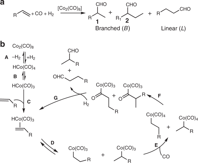 Metal Organic Frameworks As Kinetic Modulators For Branched Selectivity In Hydroformylation Nature Communications X Mol