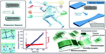 Stretchable And Tough Conductive Hydrogels For Flexible Pressure And ...