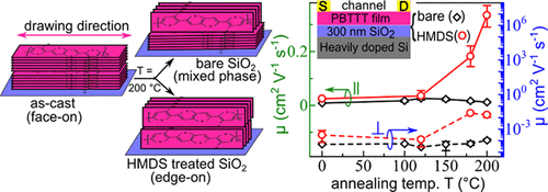 Investigation And Control Of Charge Transport Anisotropy In Highly ...