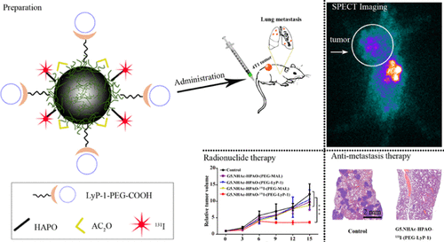 Lyp 1 Modified Multifunctional Dendrimers For Targeted Antitumor And Antimetastasis Therapy Acs Applied Materials Interfaces X Mol