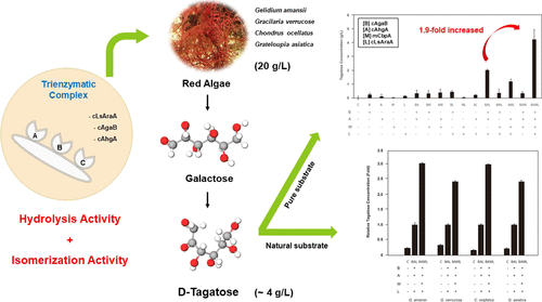 Trienzymatic Complex System For Isomerization Of Agar-Derived D ...