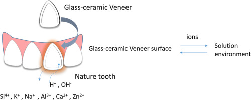 Dissolution Activation Energy Of A Fluorapatite Glass Ceramic Veneer For Dental Applications Materials Science And Engineering C X Mol