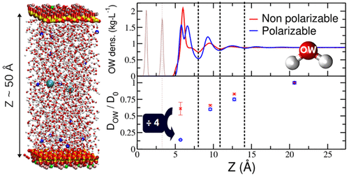 Understanding the electric double-layer from molecular dynamics