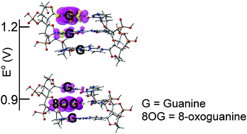 One Electron Oxidation Of Ds 5 Ggg 3 And Ds 5 G 8og G 3 And The Nature Of Hole Distribution A Density Functional Theory Dft Study Physical Chemistry Chemical Physics X Mol