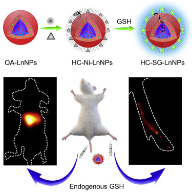 A Universal Strategy To Construct Lanthanide-Doped Nanoparticles-Based ...