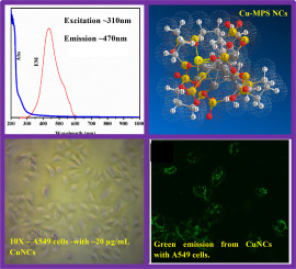 生物相容性硫醇盐保护的铜纳米簇可有效成像肺癌细胞,Journal Of Photochemistry And Photobiology B ...