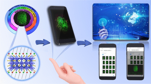 Individual Cloud-Based Fingerprint Operation Platform For Latent ...