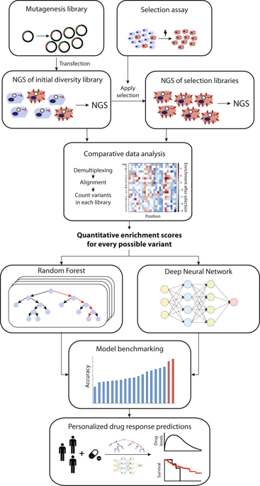 Emerging Strategies To Bridge The Gap Between Pharmacogenomic Research ...