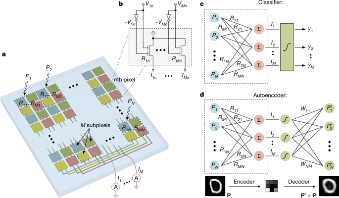 Ultrafast Machine Vision With 2D Material Neural Network Image Sensors ...