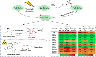 Significant Role Of High-valent Iron-oxo Species In The Degradation And ...