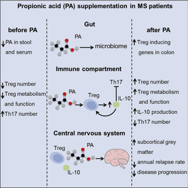 Propionic Acid Shapes The Multiple Sclerosis Disease Course By An Immunomodulatory Mechanism Cell X Mol