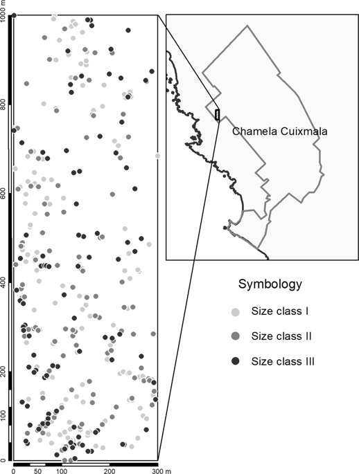 Janzen Connell影响形状基因流动模式 并在热带雌雄异体的spondias Purpurea Anacardiaceae 中实现适应性 Scientific Reports X Mol