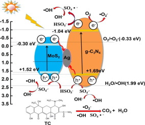 Enhanced Visible Light Photocatalytic Degradation Of Tetracycline By Mos2 Ag G C3n4 Z Scheme Composites With Peroxymonosulfate Applied Surface Science X Mol