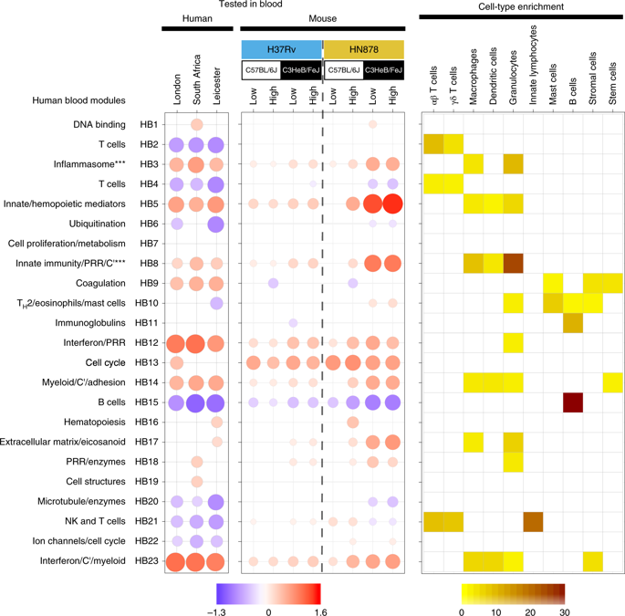 Mouse Transcriptome Reveals Potential Signatures Of Protection And Pathogenesis In Human Tuberculosis Nature Immunology X Mol