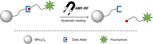 Alternating Magnetic Field Mediated Release Of Fluorophores From Magnetic Nanoparticles By Hysteretic Heating Journal Of Colloid And Interface Science X Mol