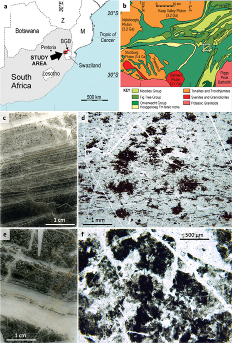 Metallomics in deep time and the influence of ocean chemistry on 