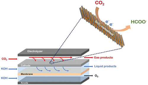 Two-Dimensional SnO2 Nanosheets For Efficient Carbon Dioxide ...