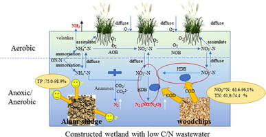 Woodchips As Sustained Release Carbon Source To Enhance The Nitrogen Transformation Of Low C N Wastewater In A Baffle Subsurface Flow Constructed Wetland Chemical Engineering Journal X Mol