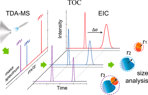 The Coupling Of Taylor Dispersion Analysis And Mass Spectrometry To ...