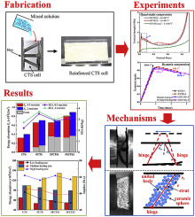 陶瓷颗粒增强泡沫填充复合晶格芯的动态破坏,Composites Science and Technology - X-MOL