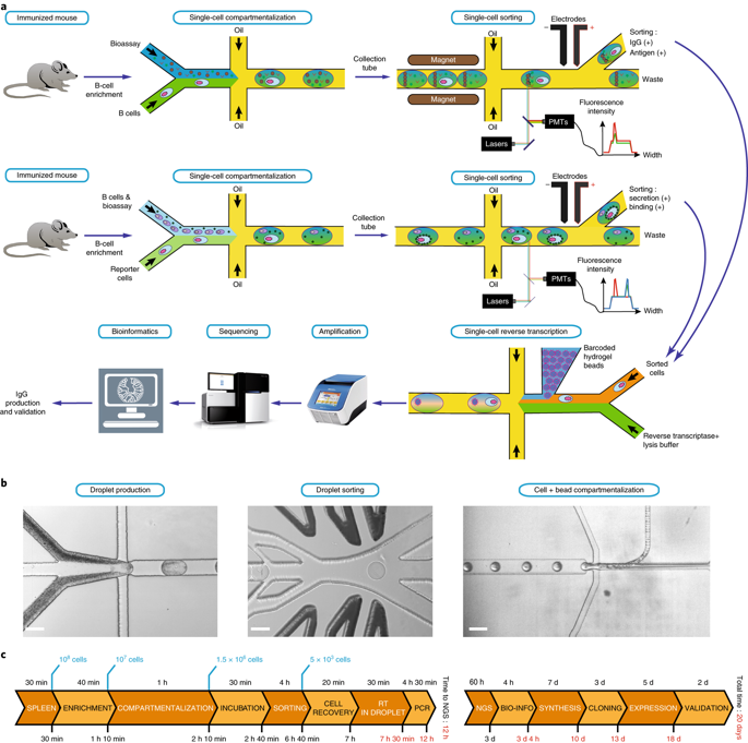 High-throughput Single-cell Activity-based Screening And Sequencing Of ...