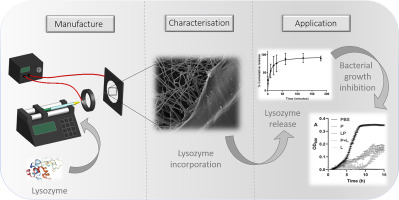 Incorporation Of Lysozyme Into A Mucoadhesive Electrospun Patch For Rapid Protein Delivery To The Oral Mucosa Materials Science And Engineering C X Mol