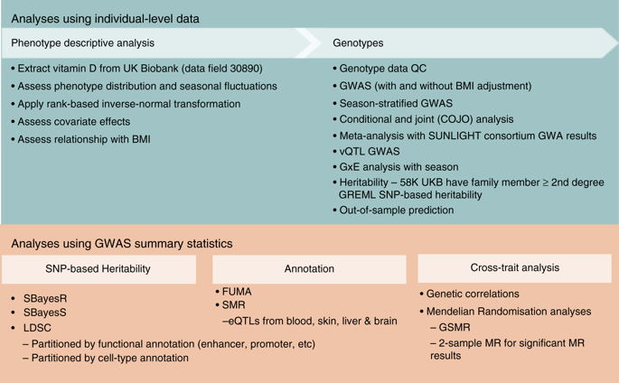 Genome Wide Association Study Identifies 143 Loci Associated With 25 Hydroxyvitamin D Concentration Nature Communications X Mol