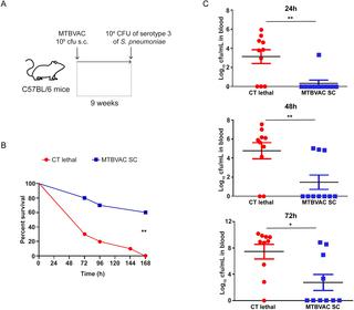 New Live Attenuated Tuberculosis Vaccine Mtbvac Induces Trained Immunity And Confers Protection Against Experimental Lethal Pneumonia Plos Pathogens X Mol