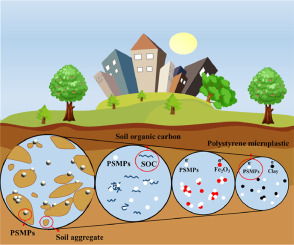 Distribution Characteristics And Mechanism Of Microplastics Mediated By ...