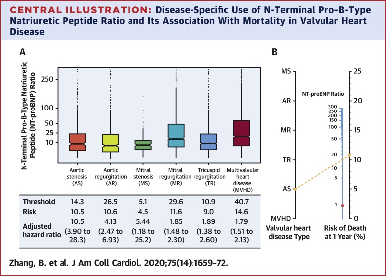 Prognostic Value Of N-Terminal Pro–B-Type Natriuretic Peptide In ...